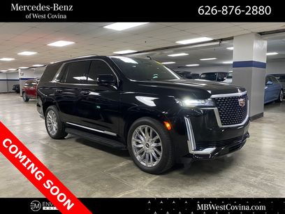 Used 2023 Cadillac Escalade Premium Luxury w/ Performance Package