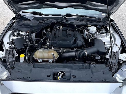 Used 2019 Ford Mustang Premium w/ Equipment Group 201A RWD image 11
