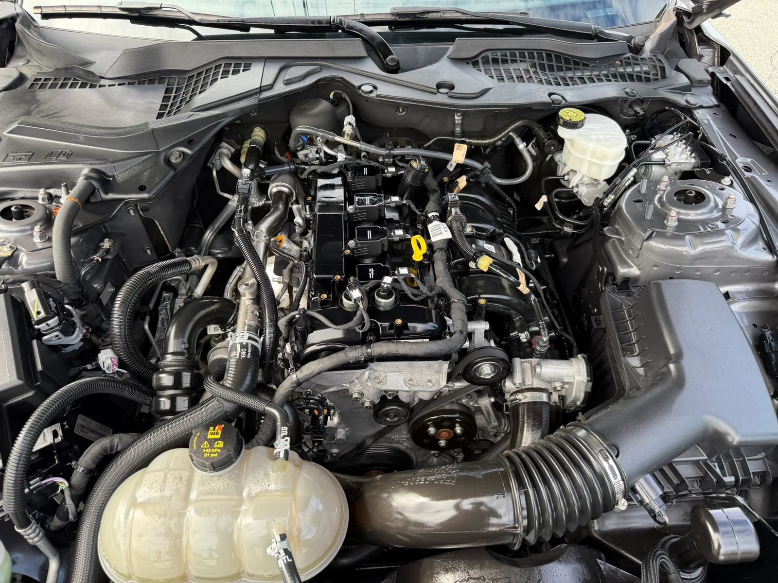 Used 2022 Ford Mustang Premium w/ Equipment Group 201A RWD image 31