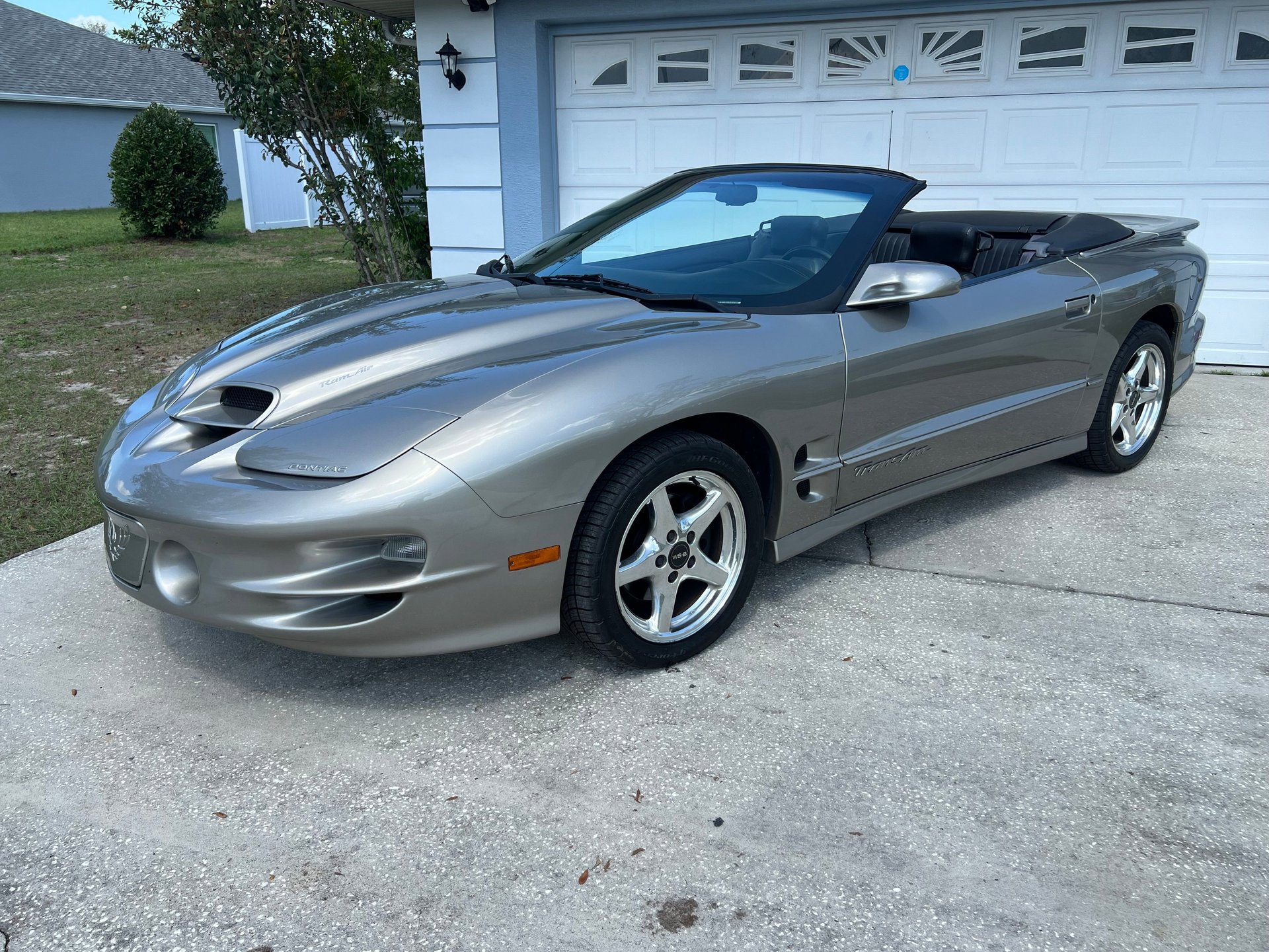 Used 2000 Pontiac Firebird Trans Am RWD image 2