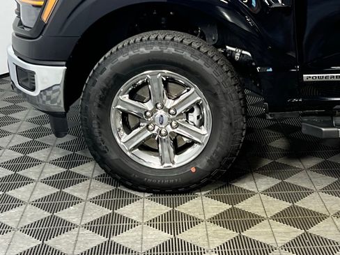 Used 2025 Ford F150 XLT w/ Equipment Group 301A Standard AWD/4WD image 13