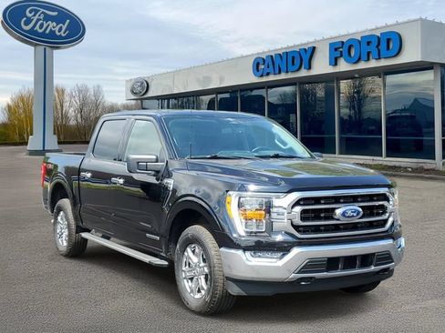 Used 2023 Ford F150 XLT w/ Equipment Group 302A High AWD/4WD image 1