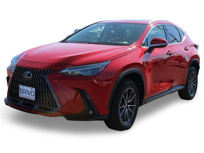 Used 2024 Lexus NX 350 AWD