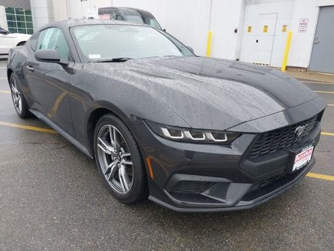 Certified 2024 Ford Mustang Premium image 2