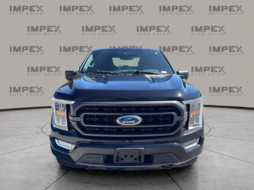 Used 2023 Ford F150 XLT w/ Equipment Group 302A High AWD/4WD image 8