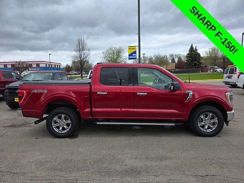 Certified 2021 Ford F150 XLT w/ Equipment Group 302A High AWD/4WD image 9
