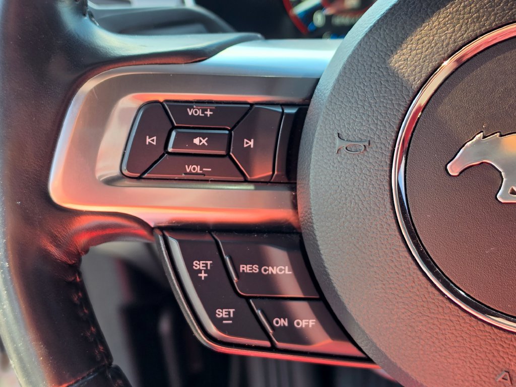Used 2019 Ford Mustang GT Premium w/ Equipment Group 401A RWD image 17