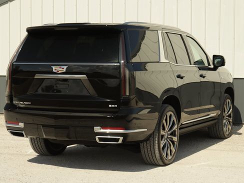 New 2025 Cadillac Escalade Premium Luxury Platinum image 7