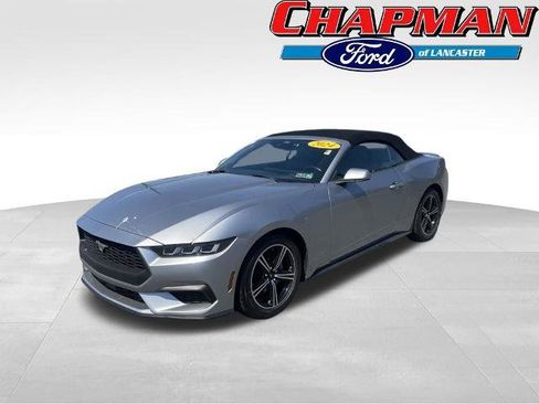 Certified 2024 Ford Mustang Premium RWD image 3