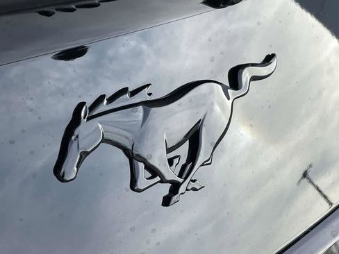 New 2026 Ford Mustang Coupe image 8