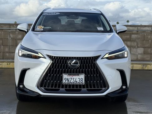 Certified 2025 Lexus NX 250 250 Premium image 6