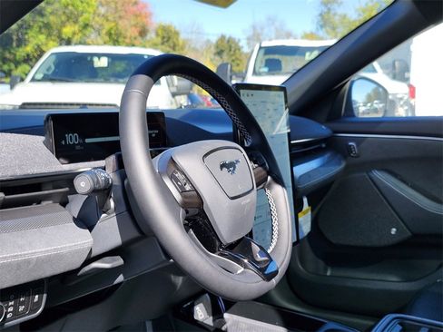 New 2025 Ford Mustang Mach-E GT w/ Interior Protection Package image 19