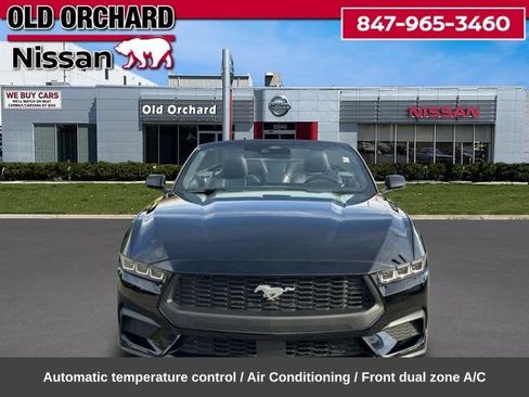 Used 2024 Ford Mustang Premium RWD image 2