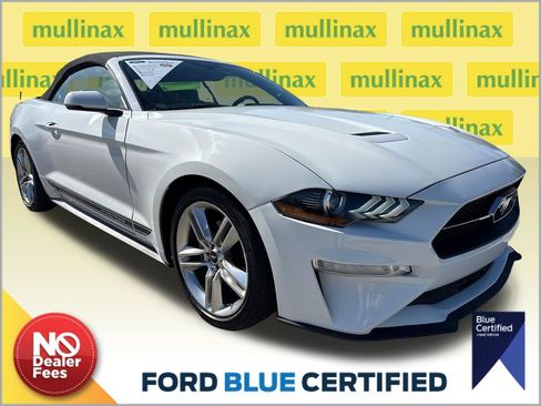 Used 2019 Ford Mustang Premium w/ Equipment Group 201A RWD image 1