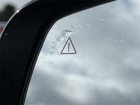 Used 2024 Kia Carnival EX image 39