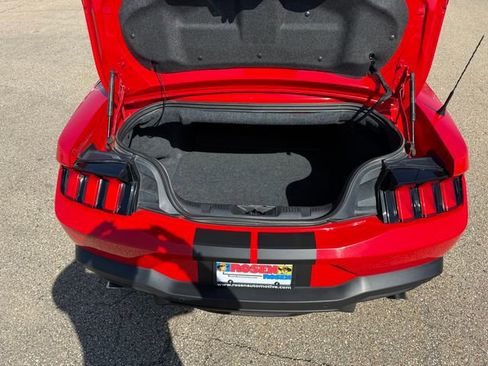 Used 2019 Ford Mustang Premium w/ Equipment Group 201A RWD image 16