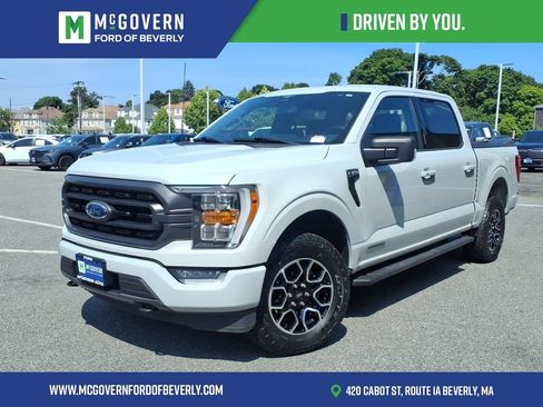 Used 2023 Ford F150 XLT w/ Equipment Group 302A High AWD/4WD image 1