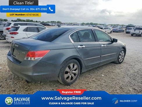 Used 2010 Honda Accord EX-L image 4