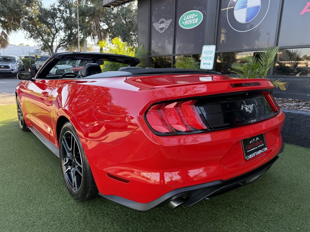 Used 2019 Ford Mustang Convertible RWD image 4