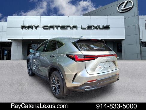 Certified 2024 Lexus NX 350 AWD w/ Cold Area Package image 6