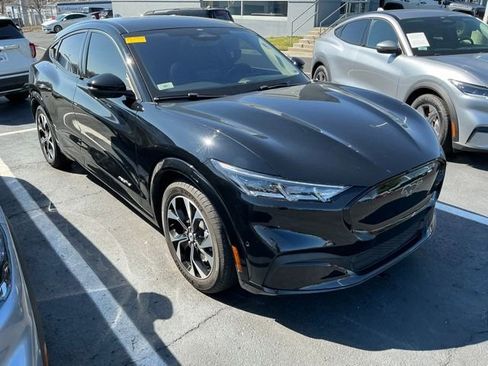 New 2025 Ford F150 XLT w/ Equipment Group 302A MID image 33