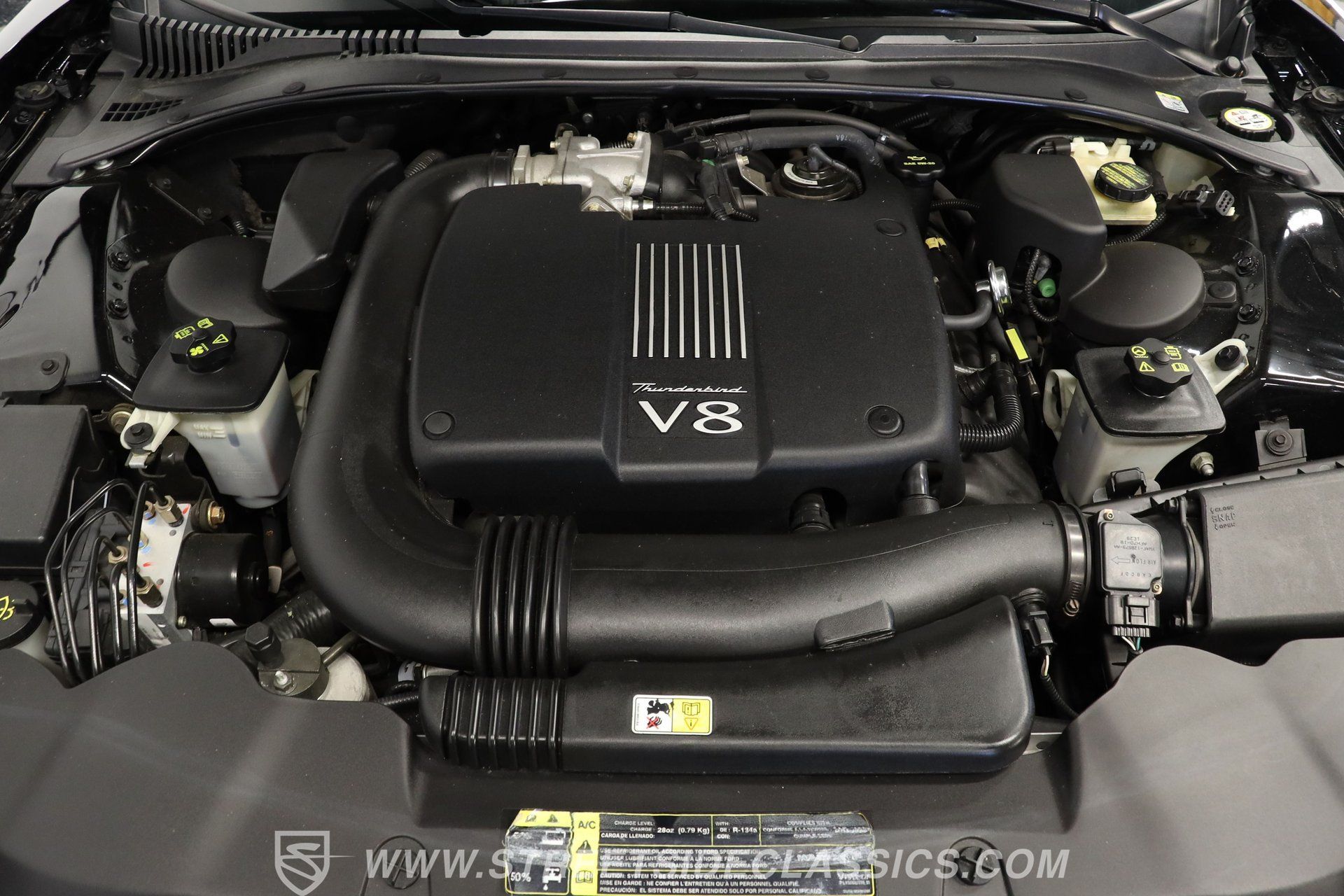 Used 2002 Ford Thunderbird Neiman Marcus RWD image 3