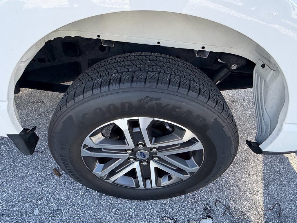 Used 2023 Ford F150 XL w/ STX Appearance Package RWD image 8