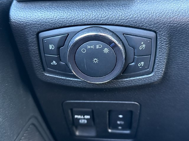 Used 2019 Ford F150 XLT w/ Equipment Group 302A Luxury AWD/4WD image 38
