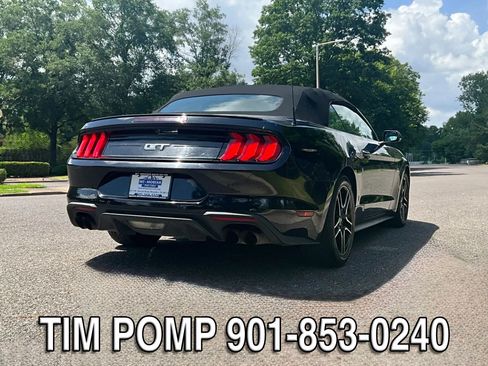 Used 2019 Ford Mustang GT Premium w/ Equipment Group 401A RWD image 5
