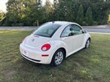 Used 2009 Volkswagen Beetle S image 5