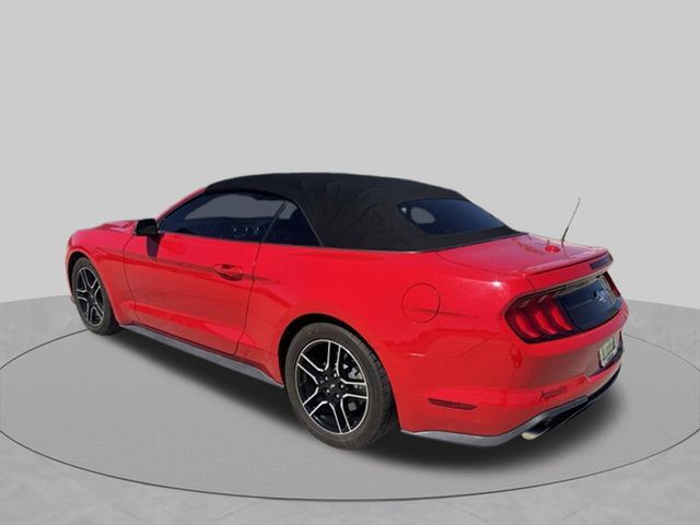 Used 2019 Ford Mustang Premium RWD image 3