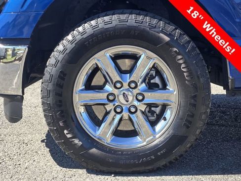 Used 2025 Ford F150 XLT w/ Equipment Group 301A Standard image 10