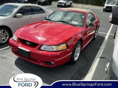 Used 1999 Ford Mustang Cobra RWD image 1
