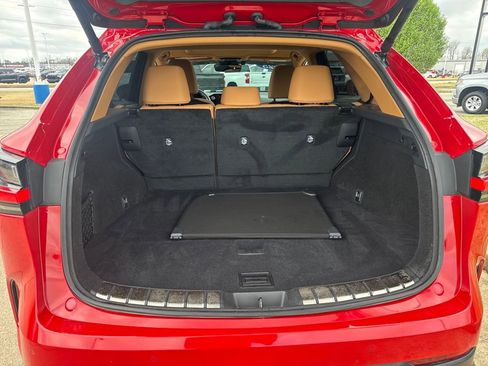 Used 2025 Lexus NX 250 250 Premium w/ Cold Area Package image 7