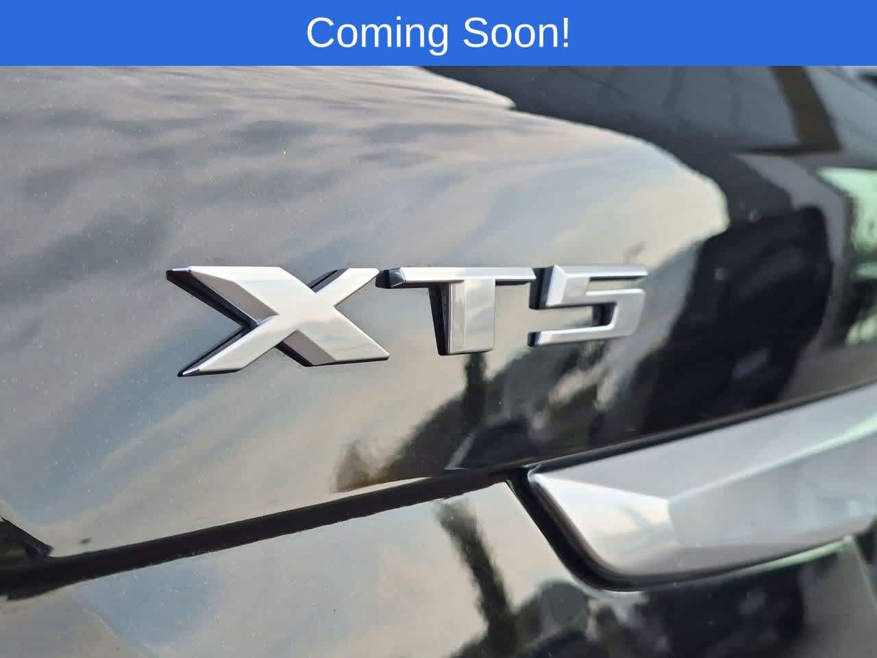Used 2024 Cadillac XT5 Premium Luxury AWD/4WD image 12