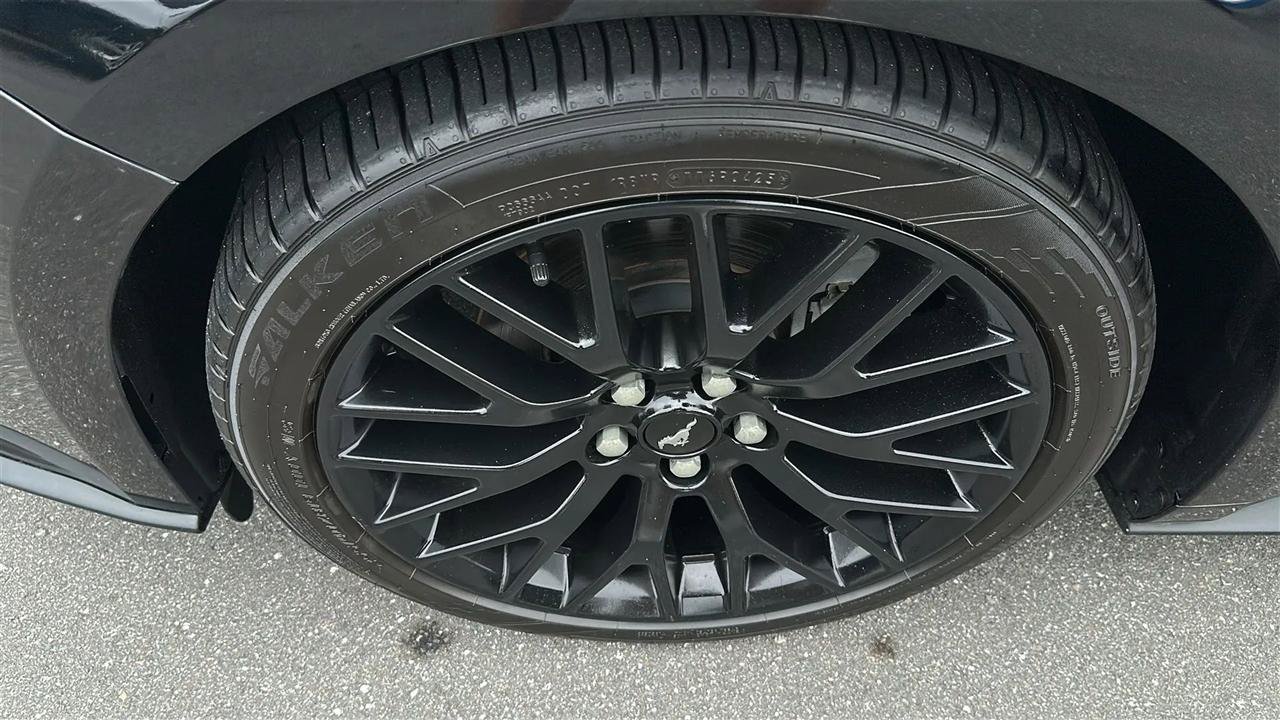 Used 2018 Ford Mustang Coupe RWD image 17