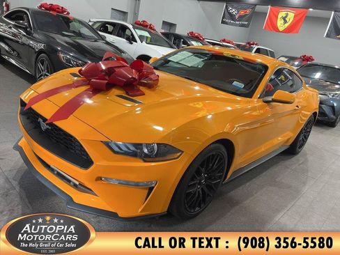 Used 2019 Ford Mustang Coupe RWD image 2