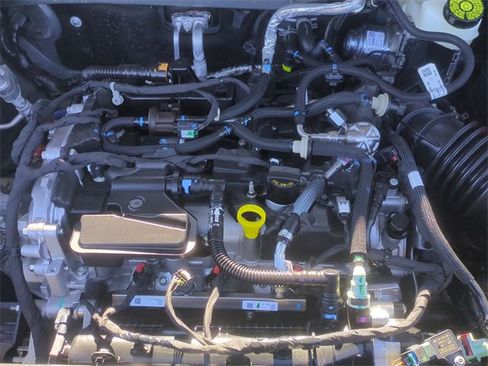 Used 2024 Ford Bronco Sport Free Wheeling w/ Convenience Package image 37