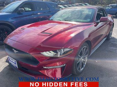 Used 2019 Ford Mustang Premium w/ Equipment Group 201A