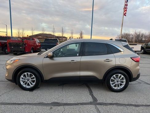 Used 2020 Ford Escape SE image 7