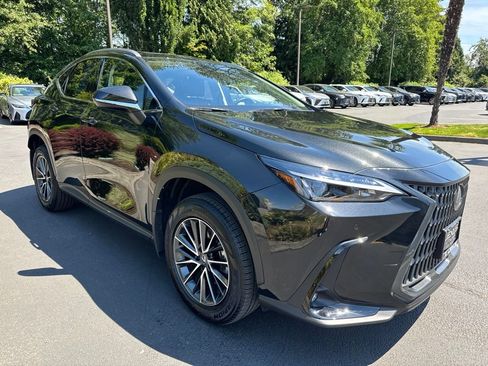 Certified 2025 Lexus NX 350h AWD w/ Cold Area Package image 8