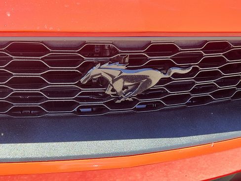 Used 2021 Ford Mustang Coupe w/ Equipment Group 101A RWD image 31