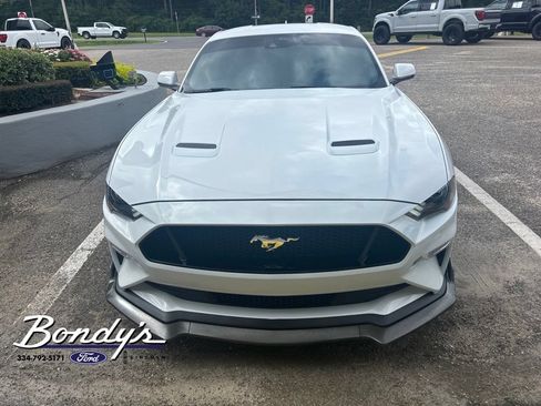 Used 2023 Ford Mustang GT Premium w/ Equipment Group 401A RWD image 2