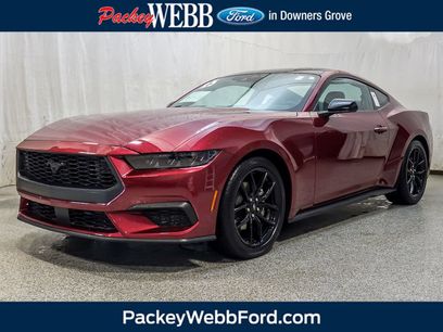 Used 2025 Ford Mustang Premium w/ Mustang Nite Pony Package