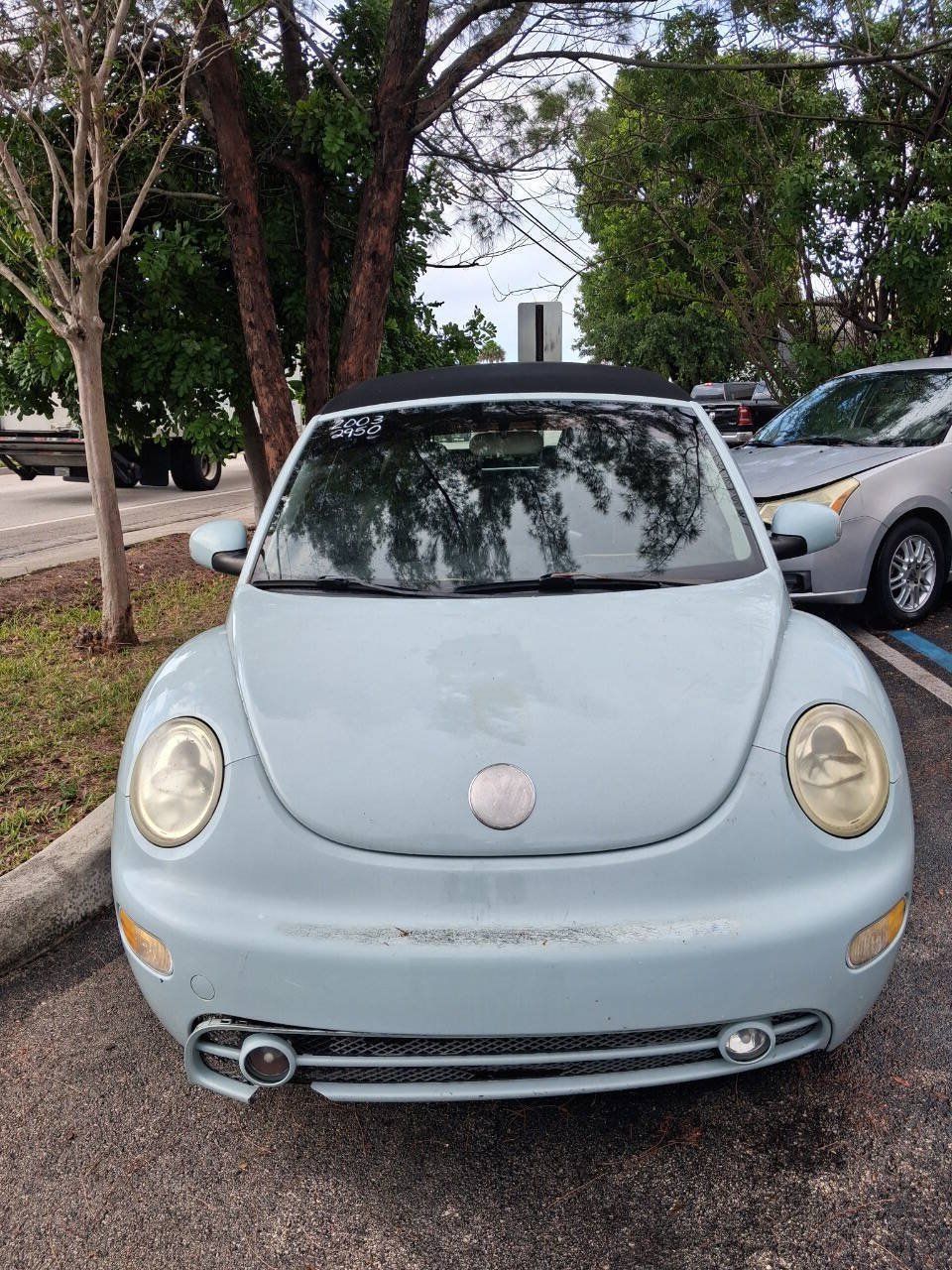 Used 2003 Volkswagen Beetle GLS FWD image 2
