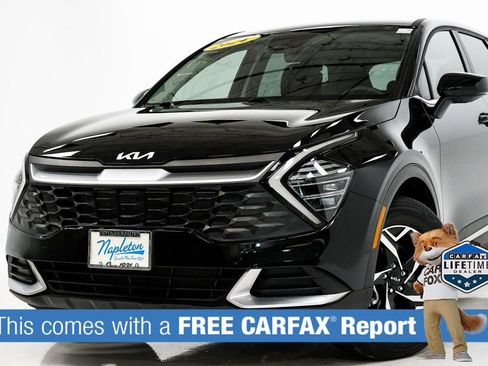 Certified 2024 Kia Sportage LX image 2