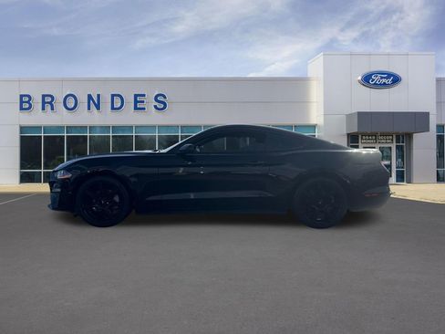 Used 2020 Ford Mustang Premium w/ Equipment Group 201A image 1