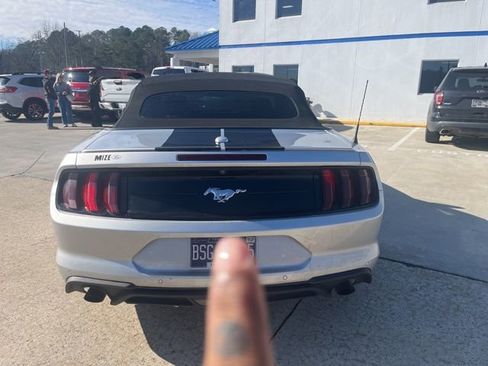 Used 2019 Ford Mustang Premium image 8