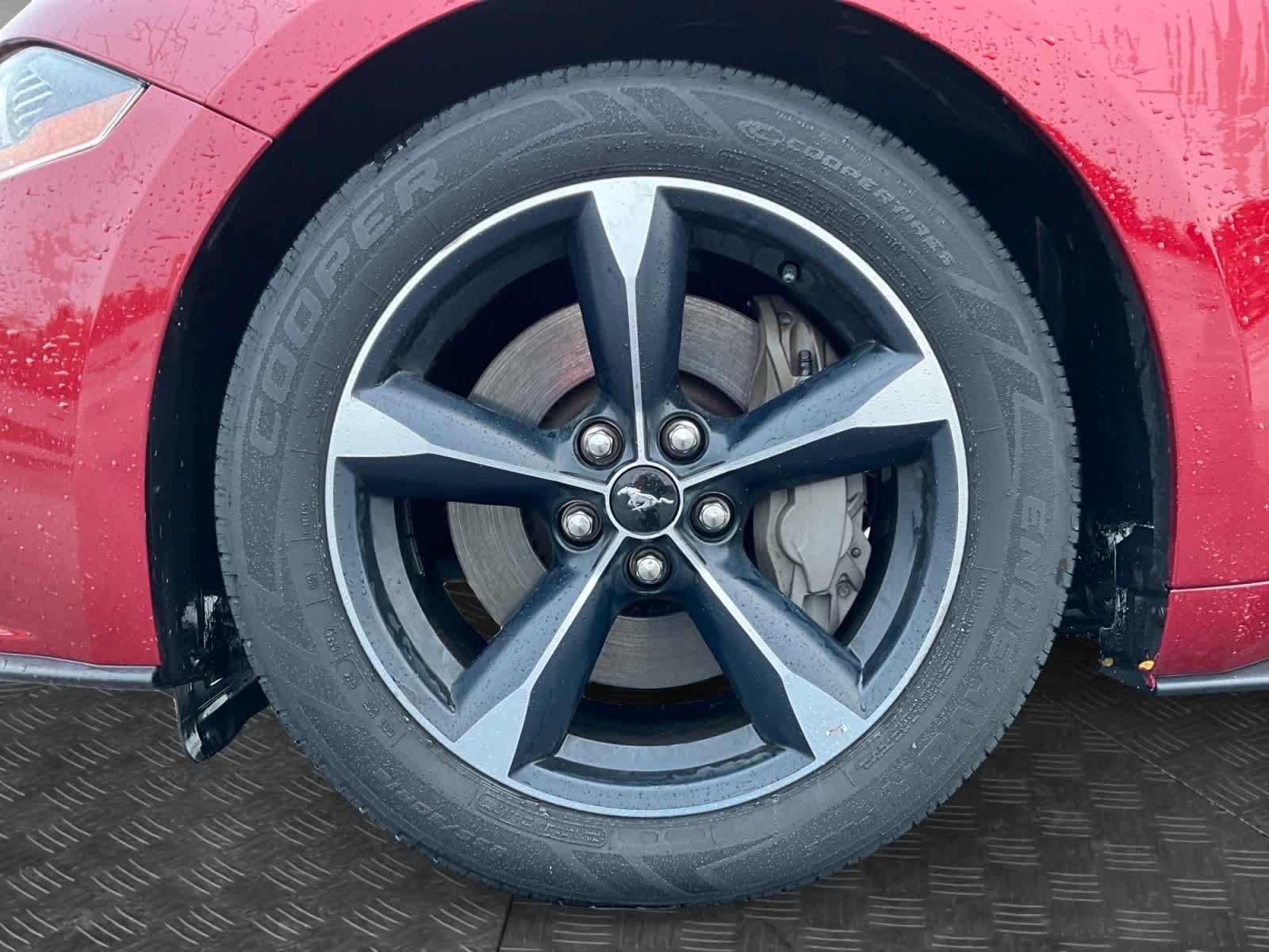 Used 2019 Ford Mustang GT RWD image 14