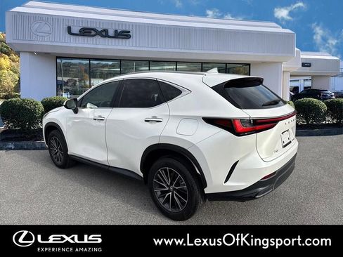Used 2025 Lexus NX 250 FWD w/ Cold Area Package image 3